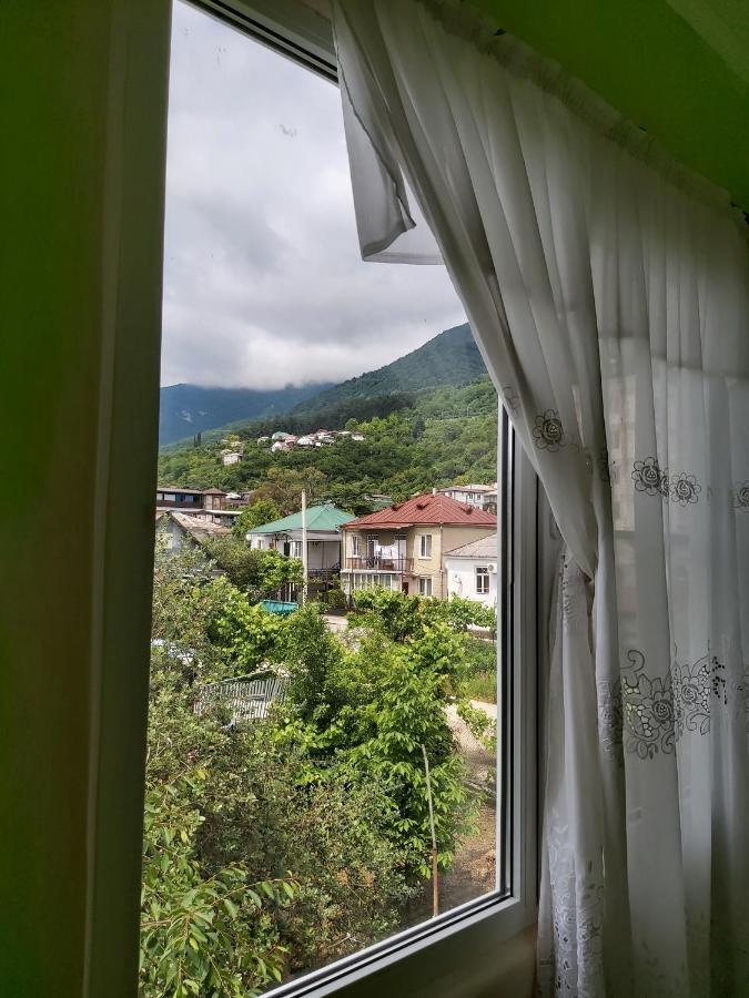 Na Shapsug Guest House Gagra Dış mekan fotoğraf