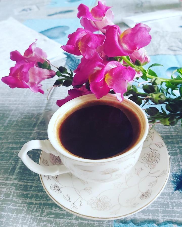 Na Shapsug Guest House Gagra Dış mekan fotoğraf