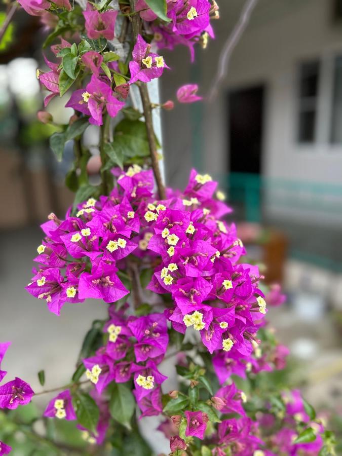 Na Shapsug Guest House Gagra Dış mekan fotoğraf