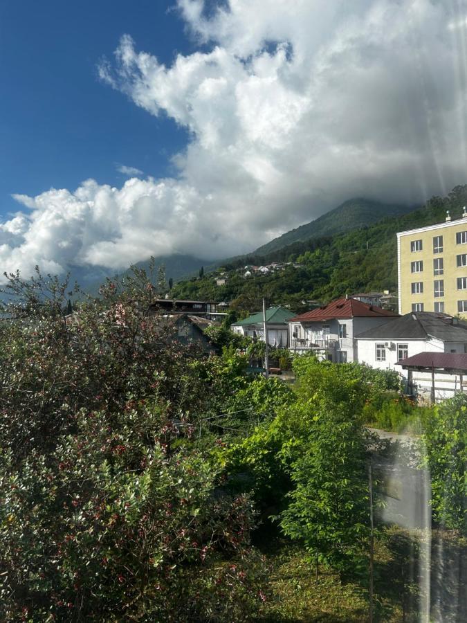 Na Shapsug Guest House Gagra Dış mekan fotoğraf