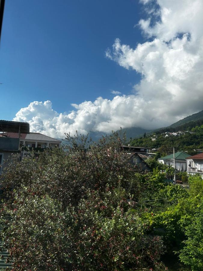 Na Shapsug Guest House Gagra Dış mekan fotoğraf