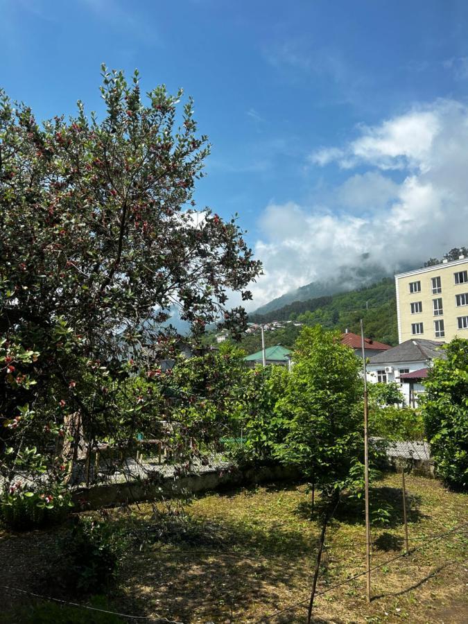Na Shapsug Guest House Gagra Dış mekan fotoğraf