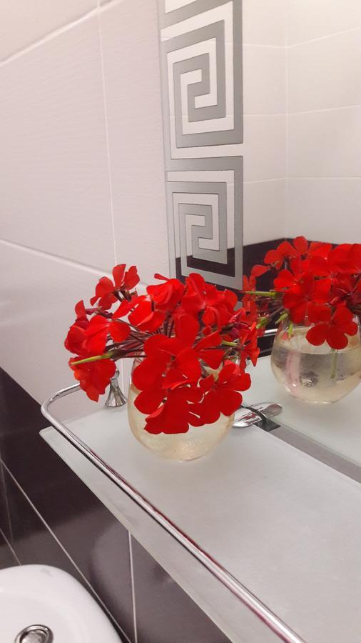 Na Shapsug Guest House Gagra Dış mekan fotoğraf